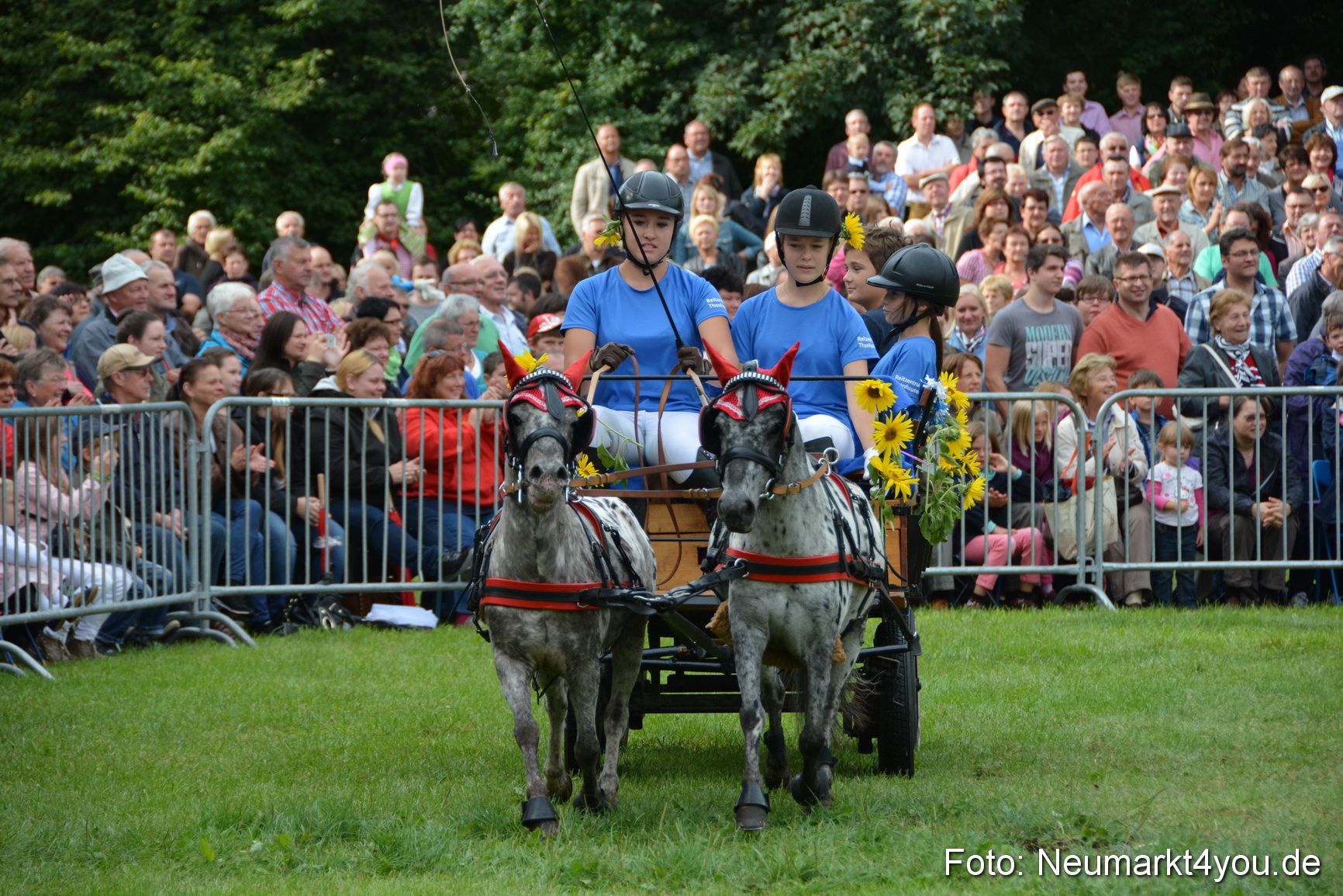 Pferdeschau JURA Volksfest 180814 0085