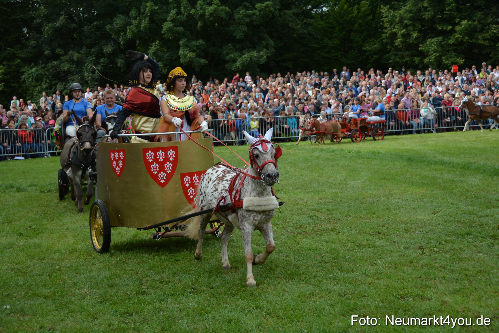 Pferdeschau JURA Volksfest 180814 0086