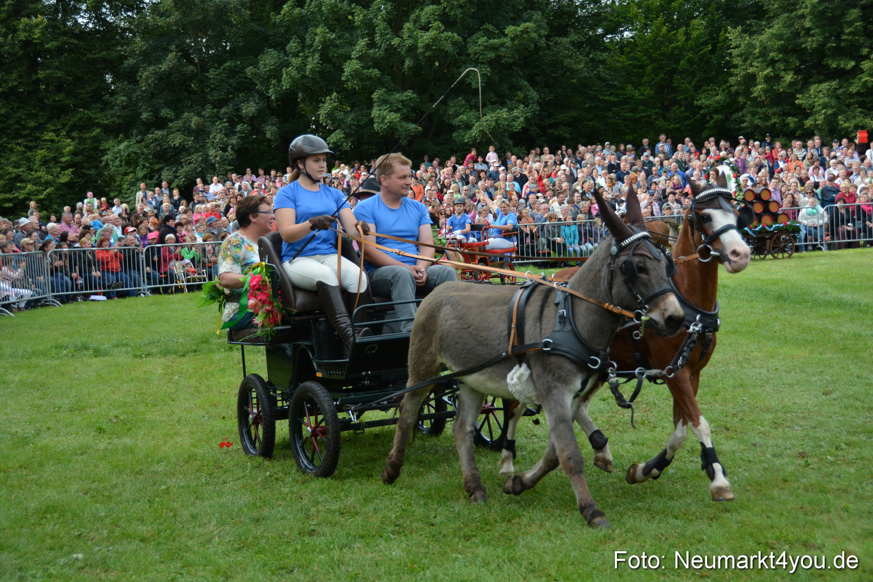 Pferdeschau JURA Volksfest 180814 0087