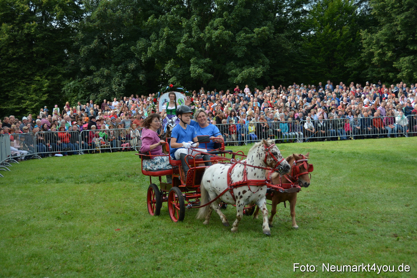 Pferdeschau JURA Volksfest 180814 0088