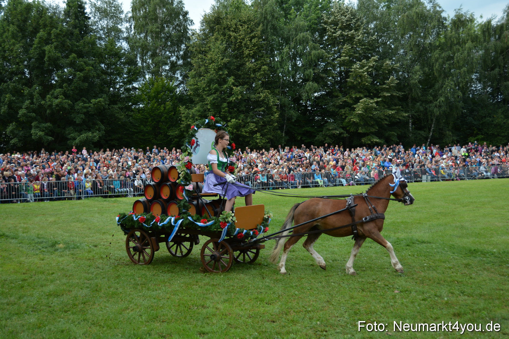 Pferdeschau JURA Volksfest 180814 0090