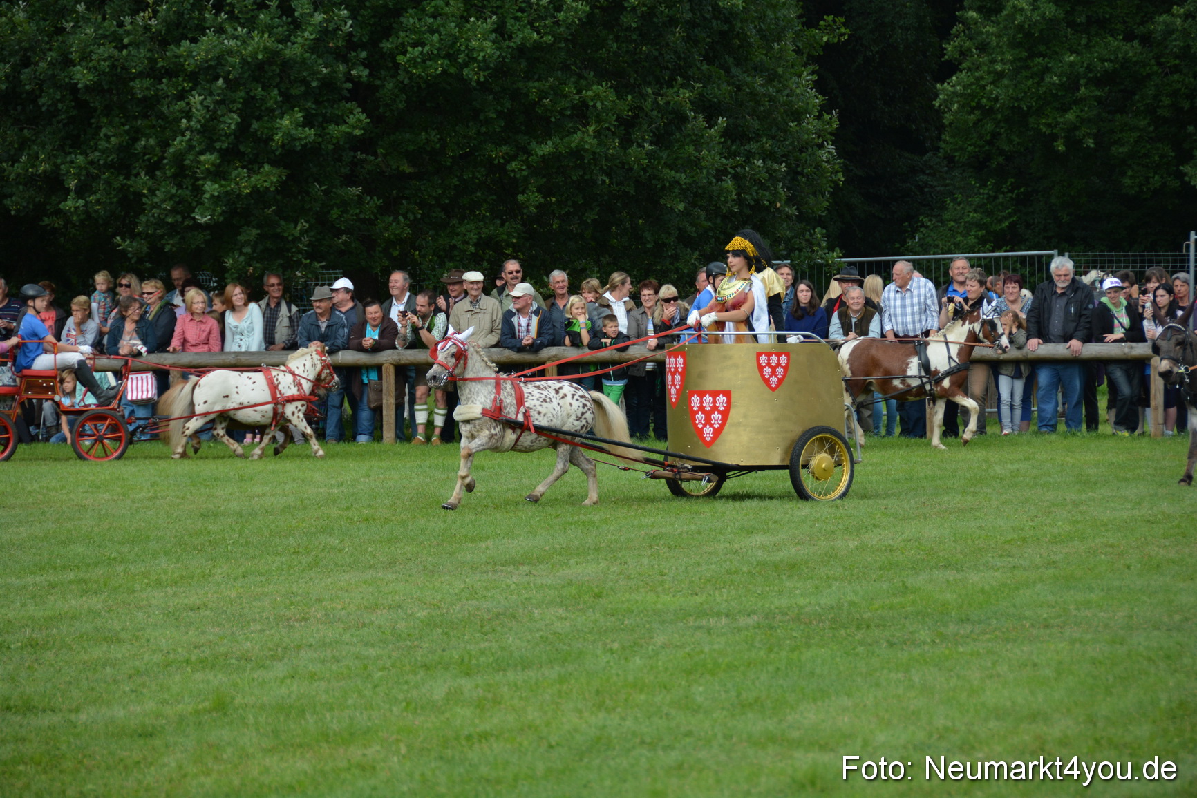 Pferdeschau JURA Volksfest 180814 0091