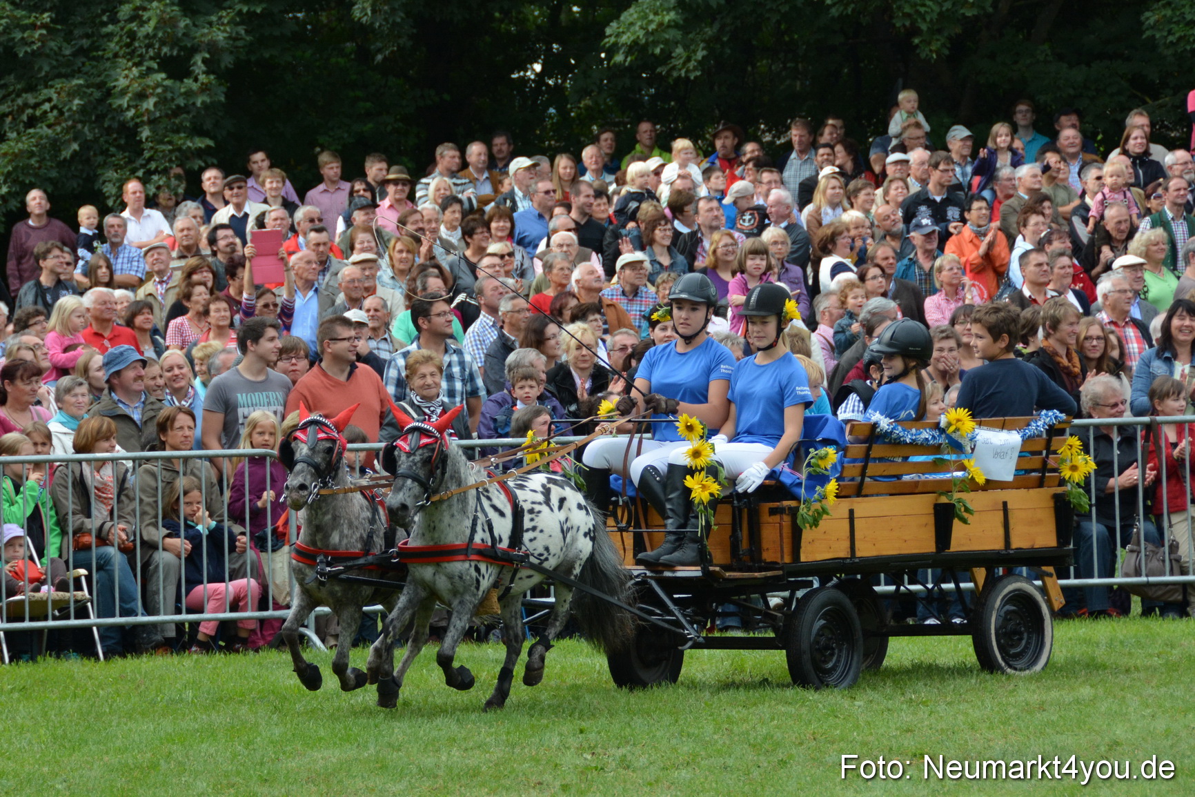 Pferdeschau JURA Volksfest 180814 0092