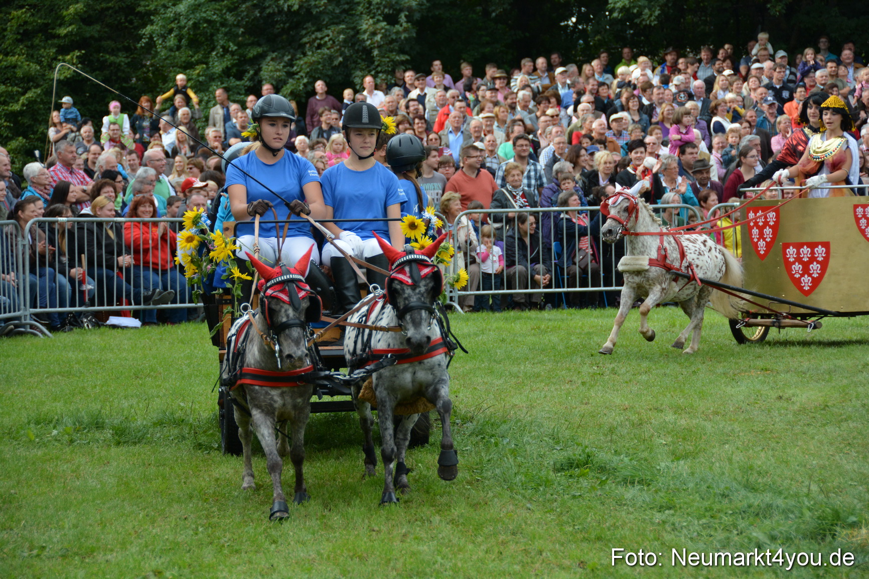 Pferdeschau JURA Volksfest 180814 0093