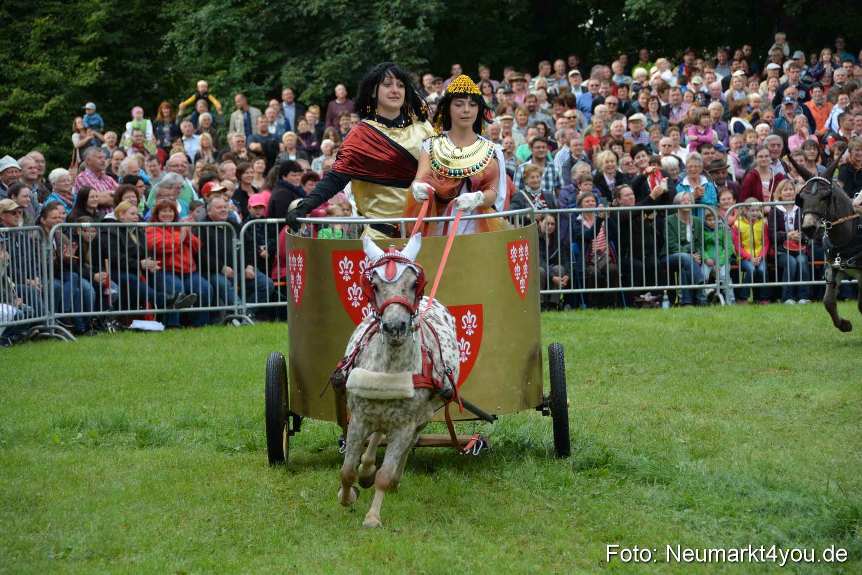Pferdeschau JURA Volksfest 180814 0094