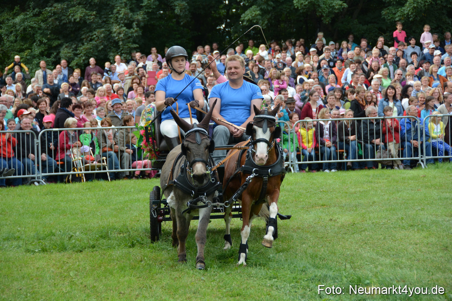 Pferdeschau JURA Volksfest 180814 0095