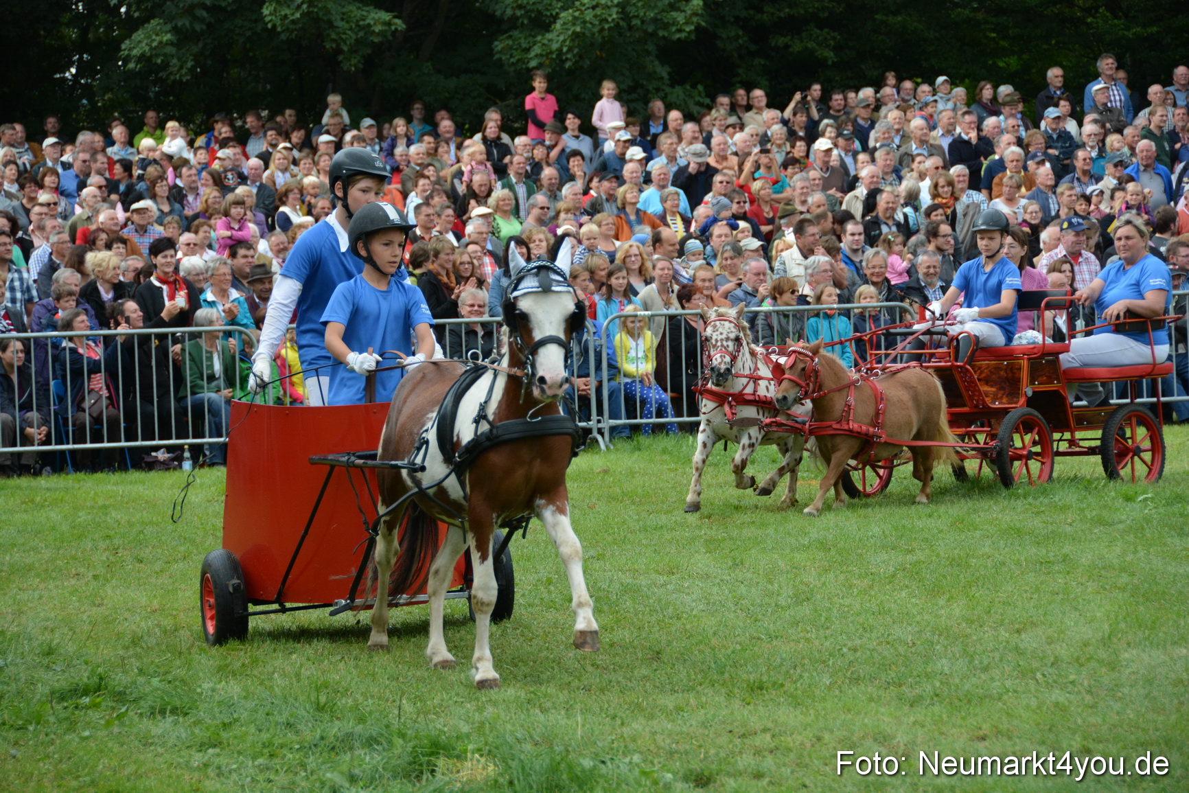 Pferdeschau JURA Volksfest 180814 0096