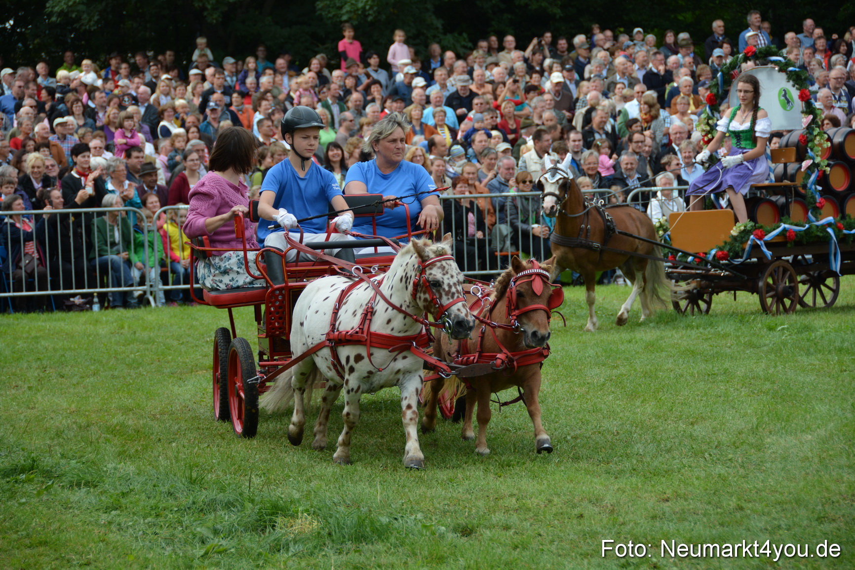 Pferdeschau JURA Volksfest 180814 0097
