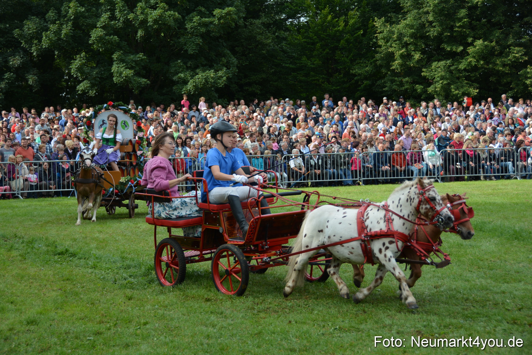 Pferdeschau JURA Volksfest 180814 0098