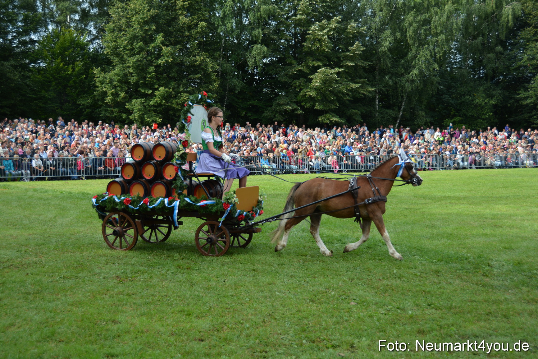 Pferdeschau JURA Volksfest 180814 0099