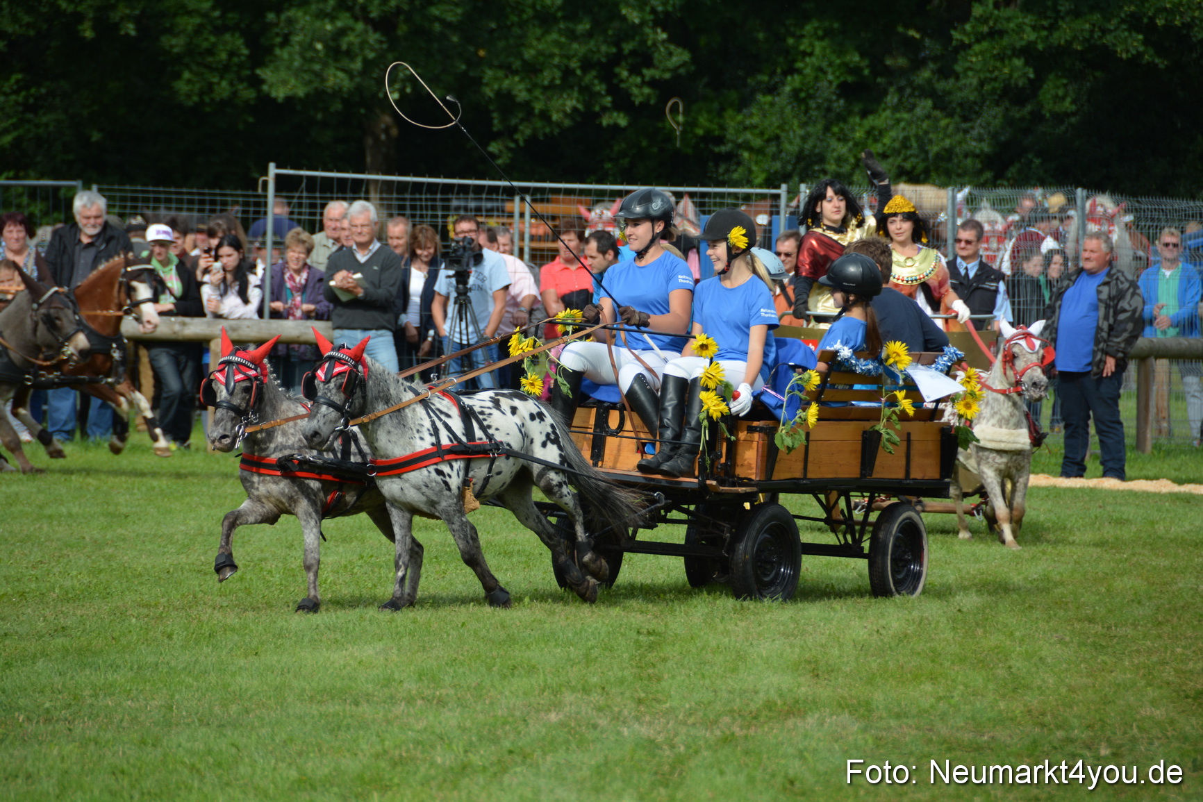 Pferdeschau JURA Volksfest 180814 0100