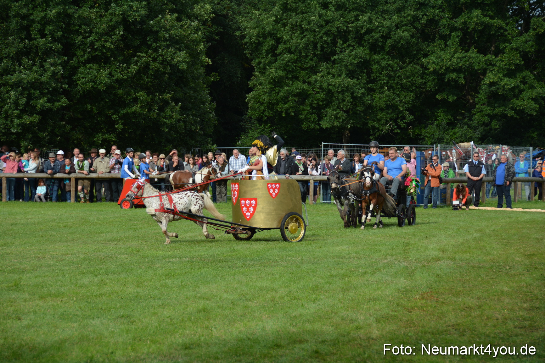 Pferdeschau JURA Volksfest 180814 0101