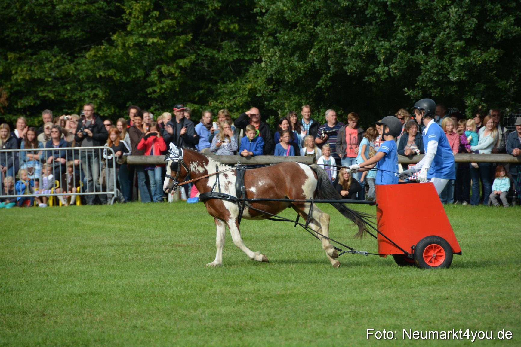 Pferdeschau JURA Volksfest 180814 0102