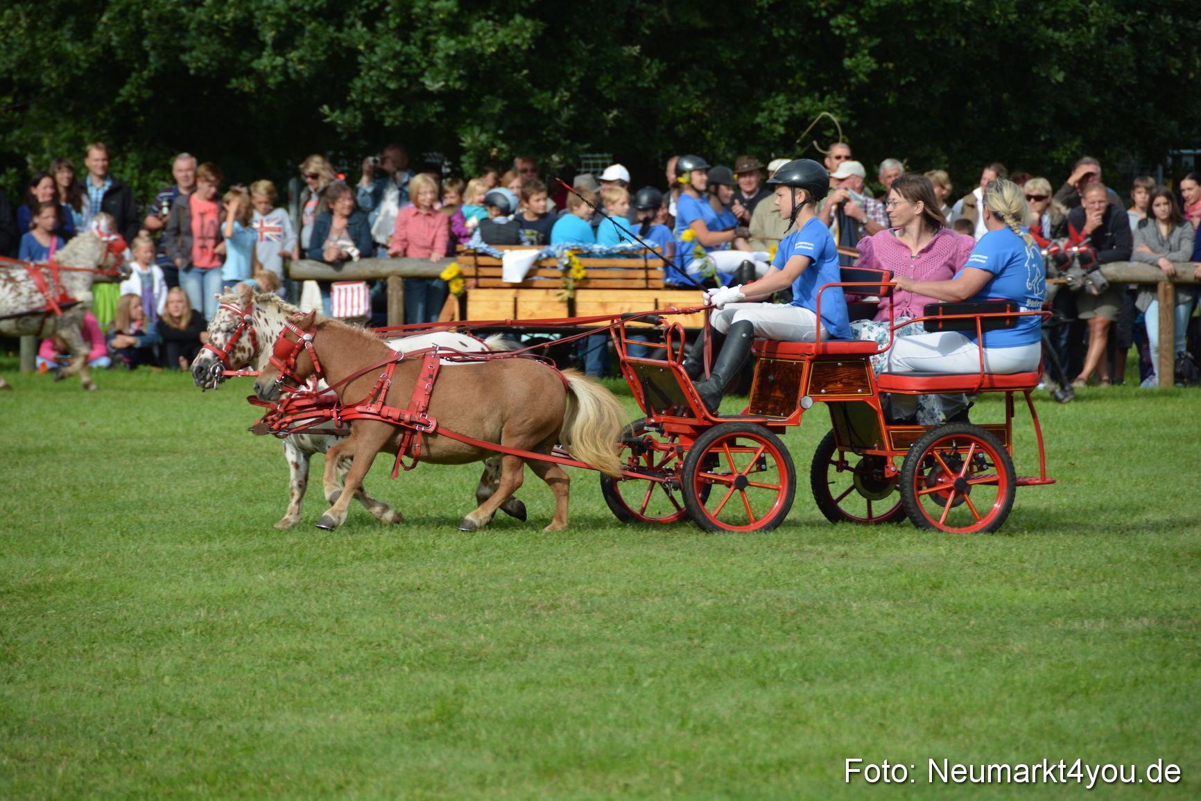 Pferdeschau JURA Volksfest 180814 0103