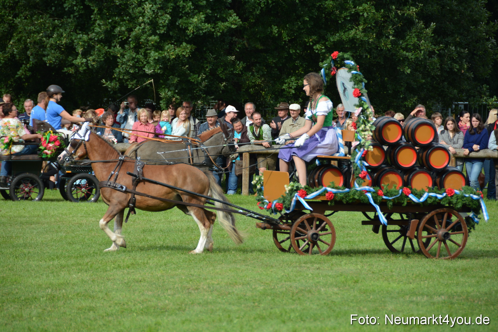 Pferdeschau JURA Volksfest 180814 0104