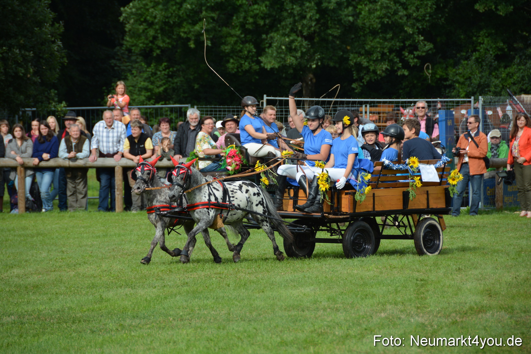 Pferdeschau JURA Volksfest 180814 0105