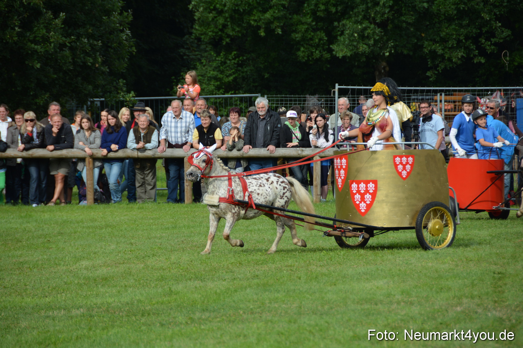 Pferdeschau JURA Volksfest 180814 0106