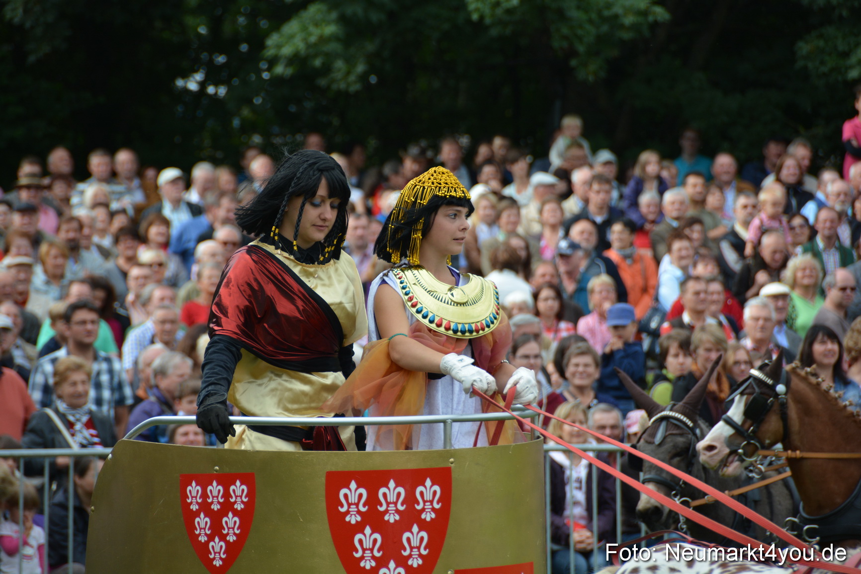 Pferdeschau JURA Volksfest 180814 0108