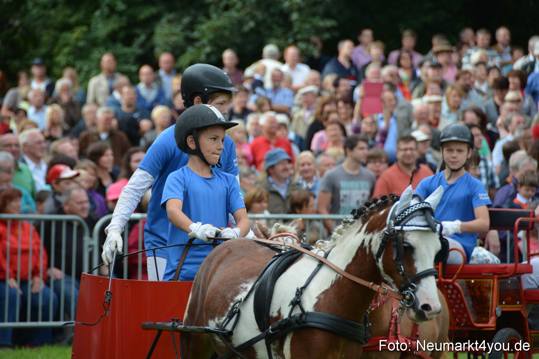 Pferdeschau JURA Volksfest 180814 0109