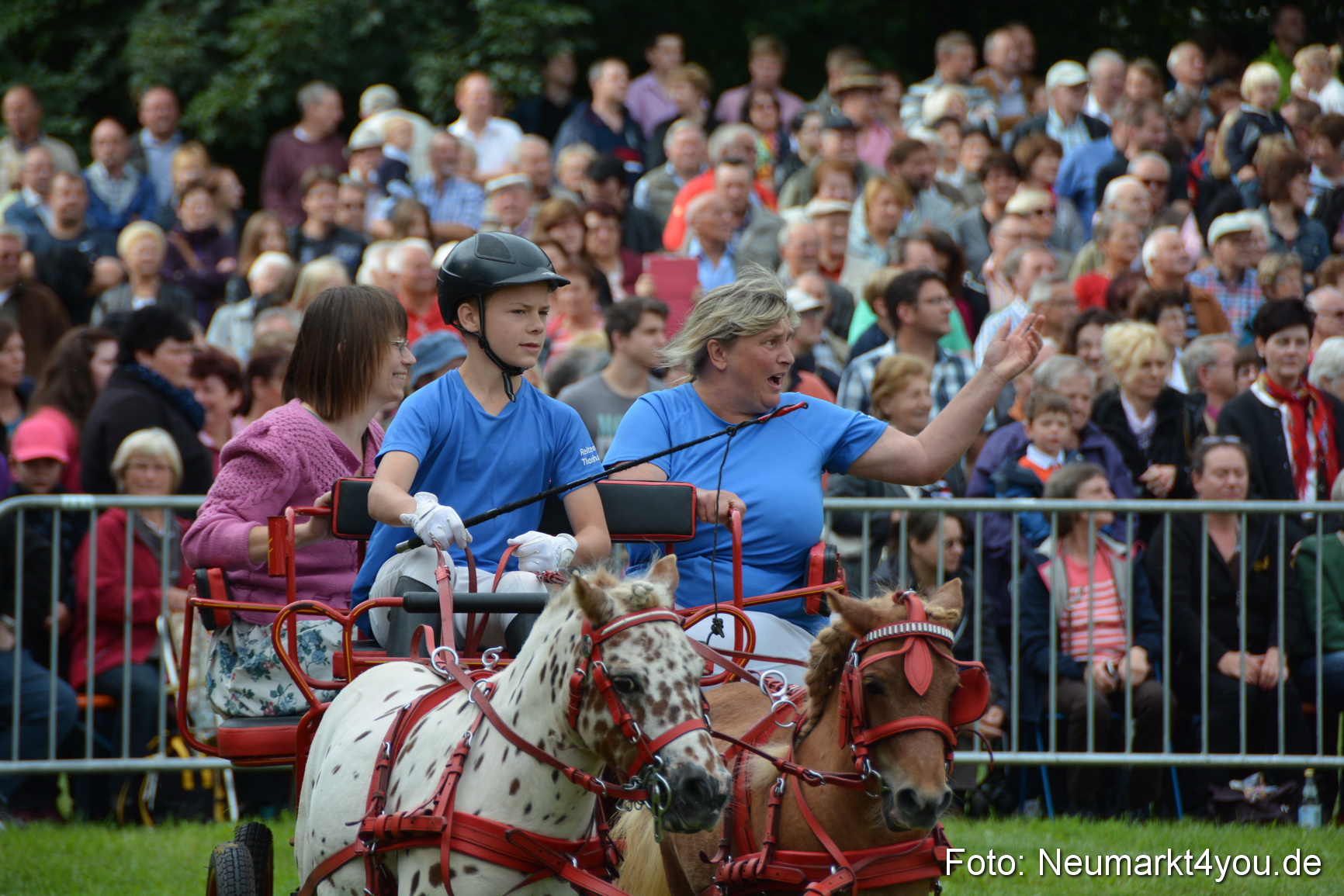 Pferdeschau JURA Volksfest 180814 0110