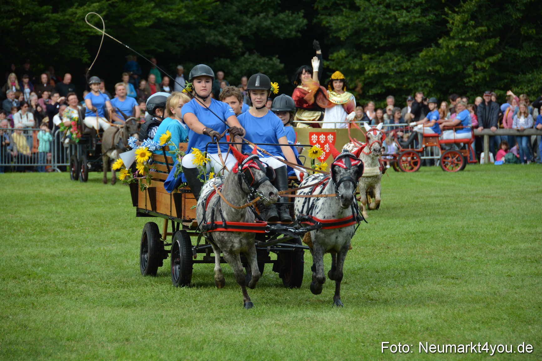 Pferdeschau JURA Volksfest 180814 0111