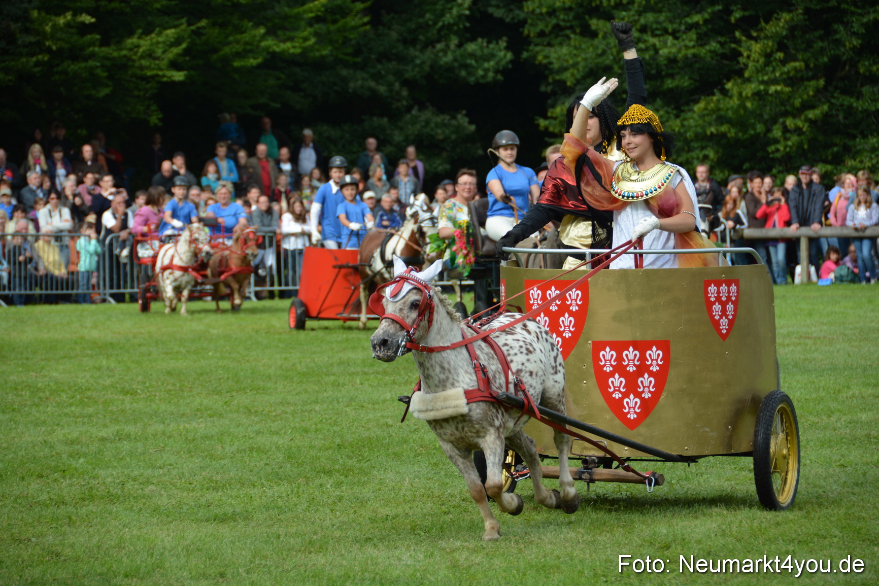 Pferdeschau JURA Volksfest 180814 0112