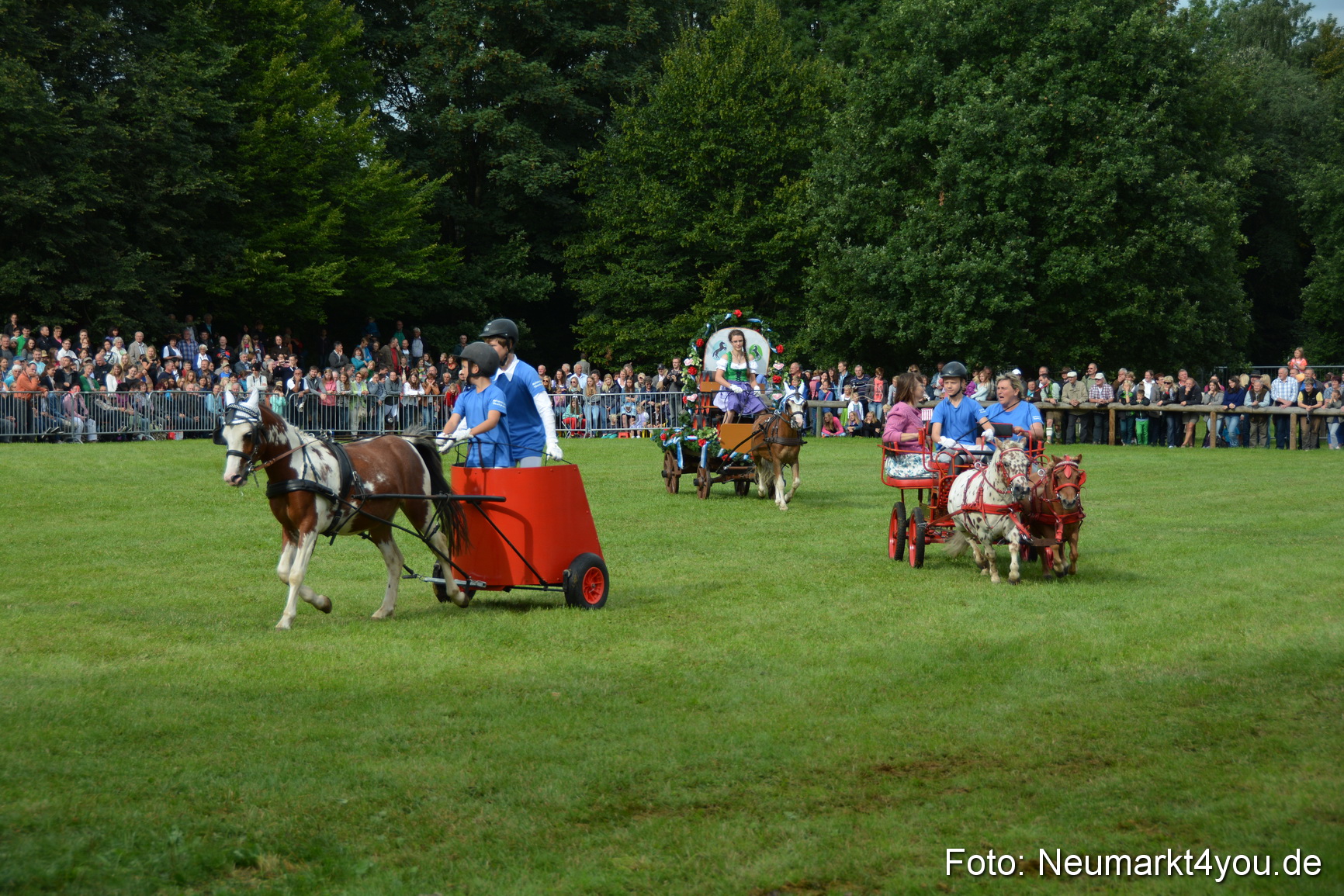 Pferdeschau JURA Volksfest 180814 0114