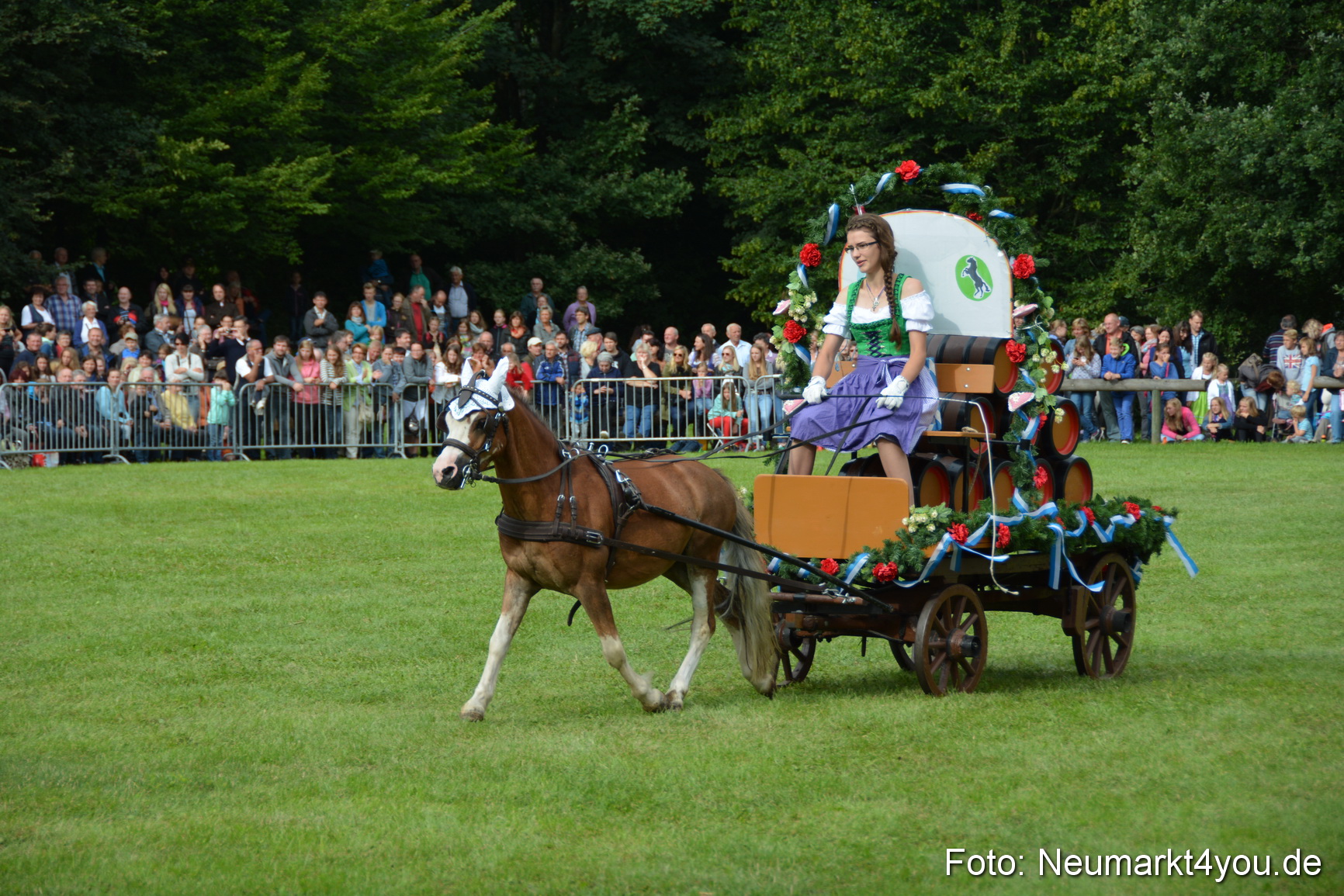 Pferdeschau JURA Volksfest 180814 0115
