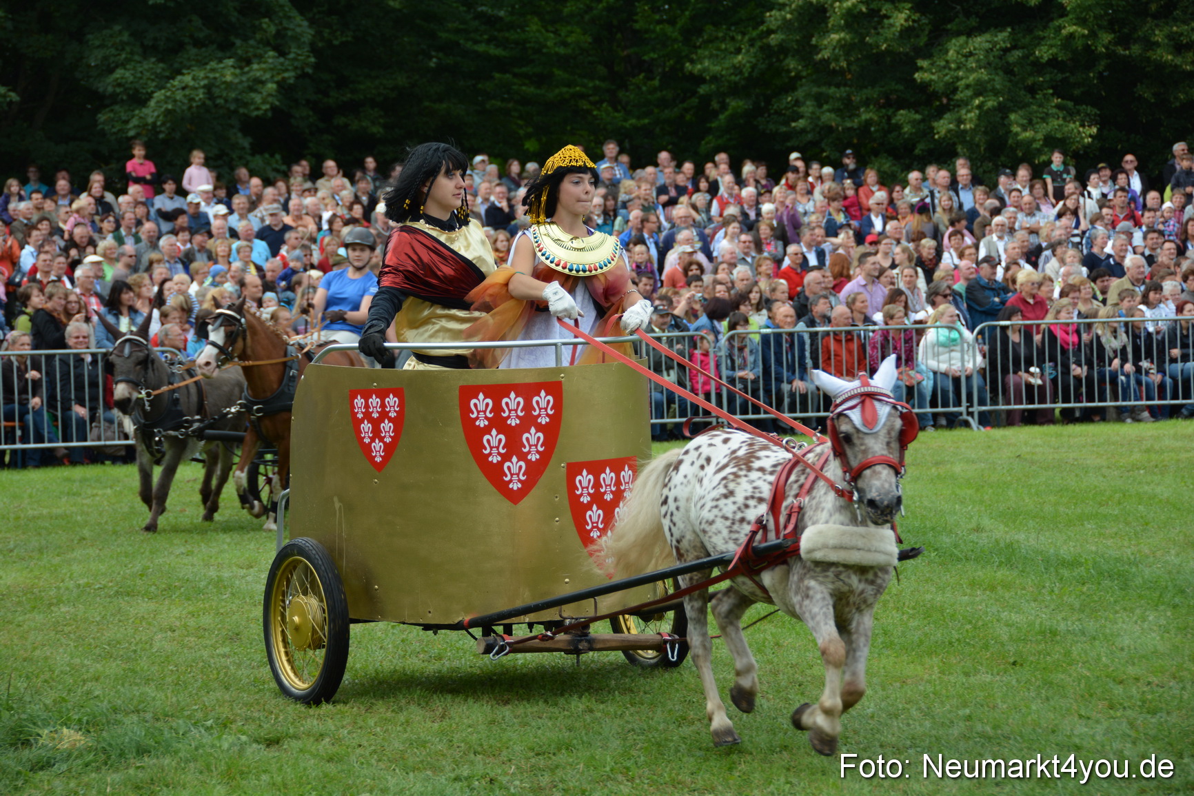 Pferdeschau JURA Volksfest 180814 0116