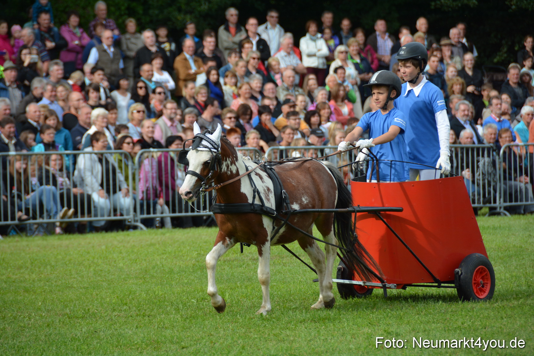 Pferdeschau JURA Volksfest 180814 0118