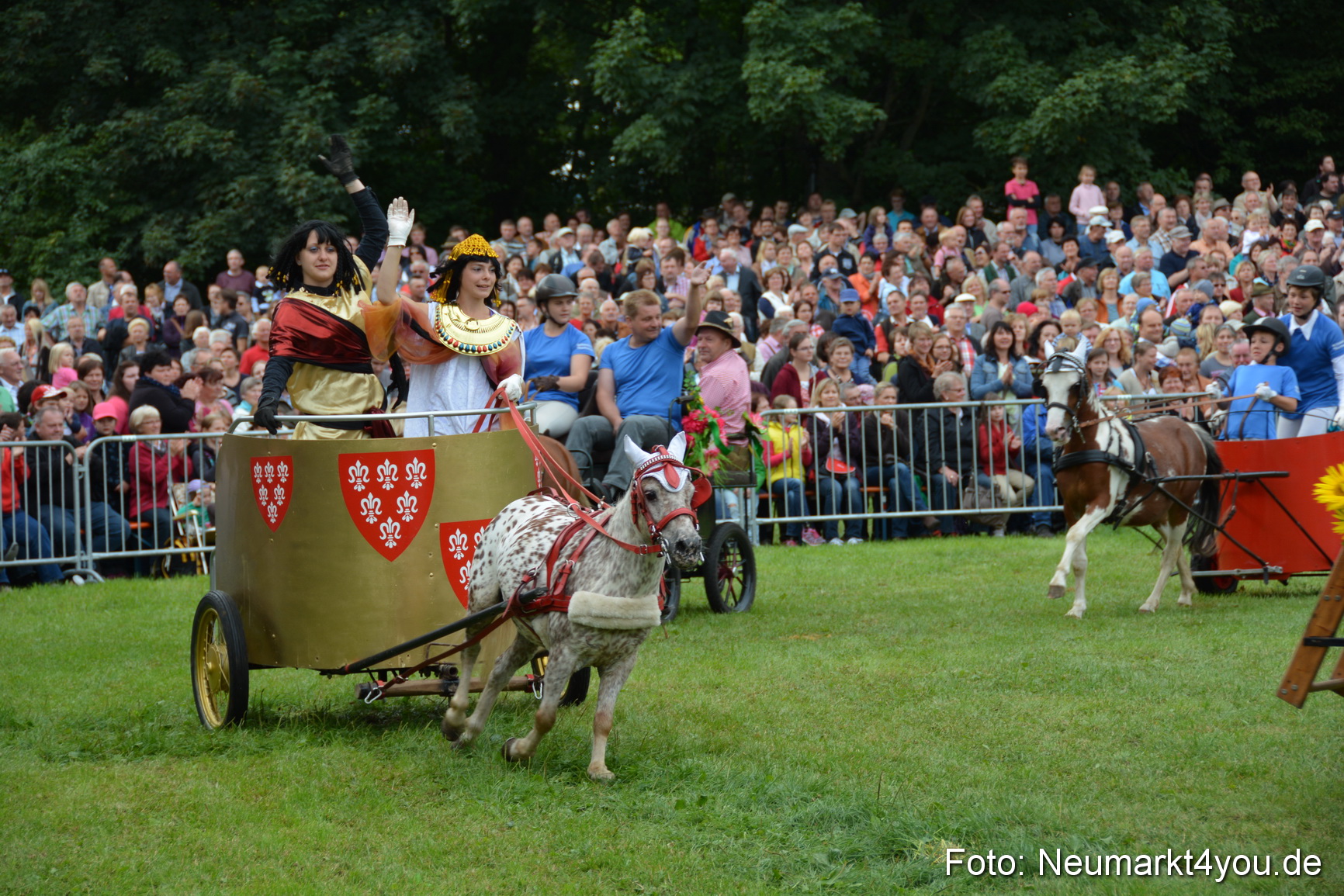 Pferdeschau JURA Volksfest 180814 0120