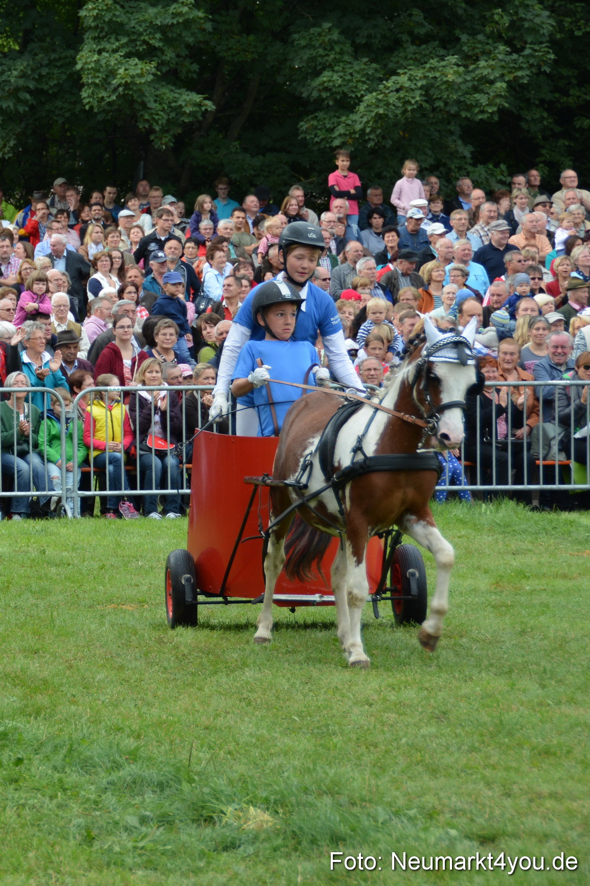 Pferdeschau JURA Volksfest 180814 0121