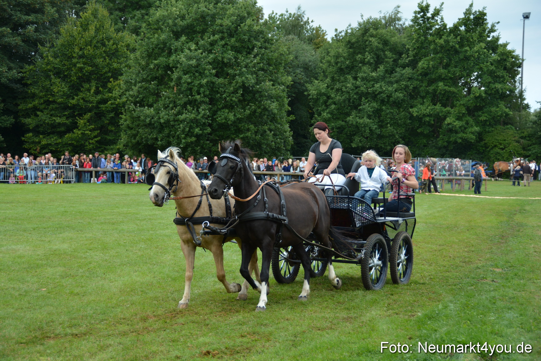 Pferdeschau JURA Volksfest 180814 0122
