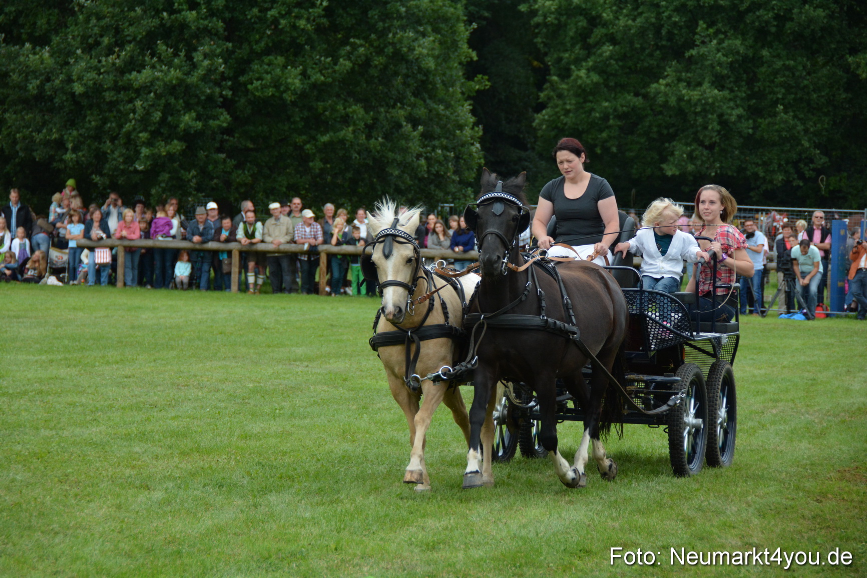 Pferdeschau JURA Volksfest 180814 0123