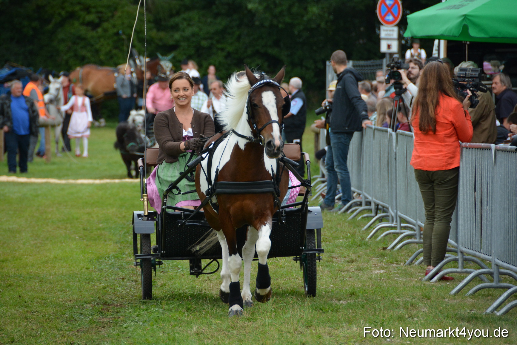 Pferdeschau JURA Volksfest 180814 0124