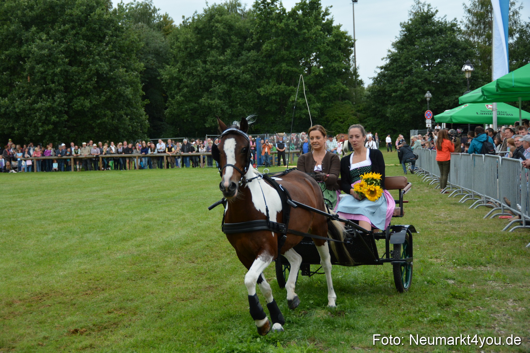 Pferdeschau JURA Volksfest 180814 0125