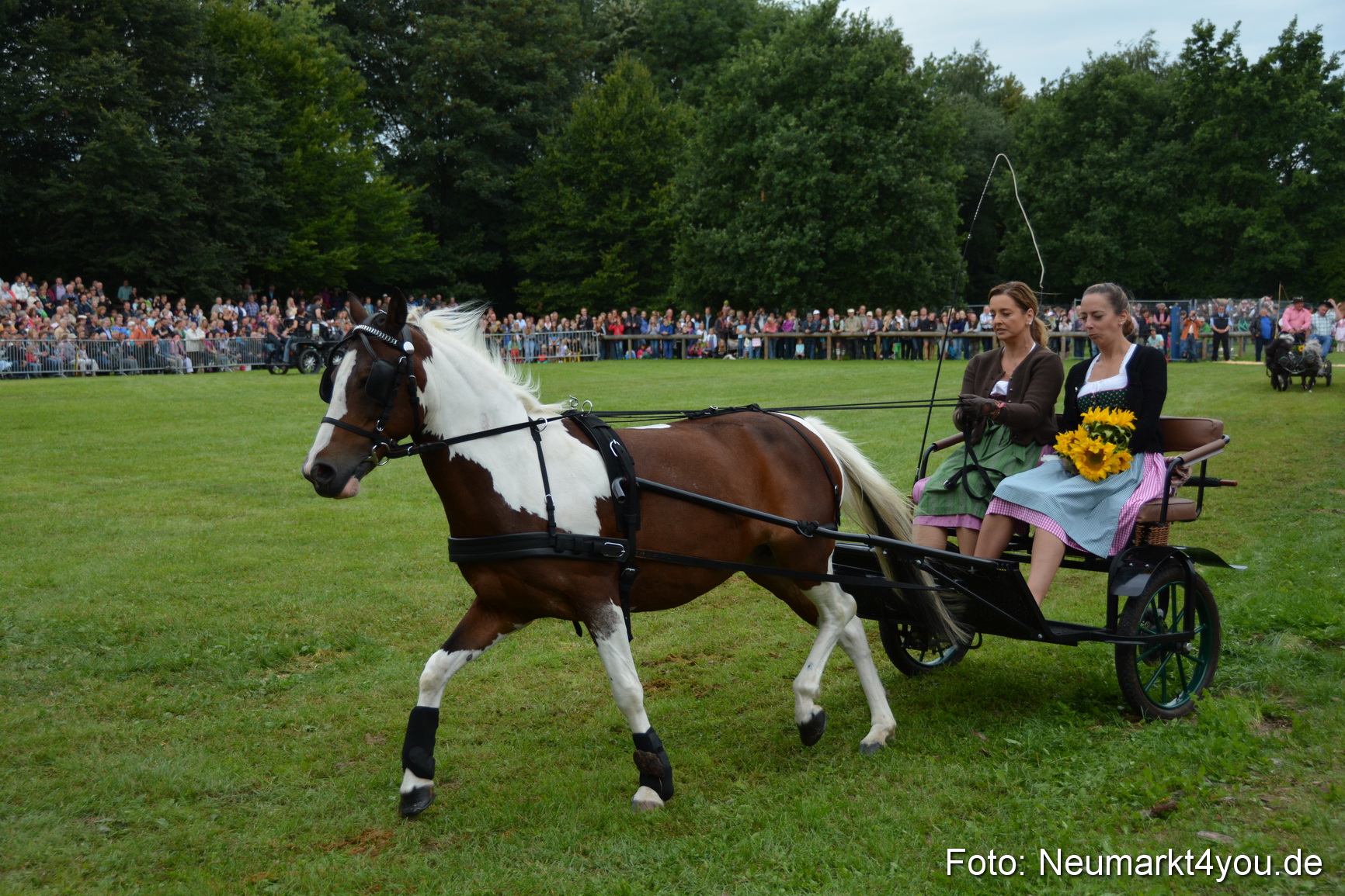 Pferdeschau JURA Volksfest 180814 0126