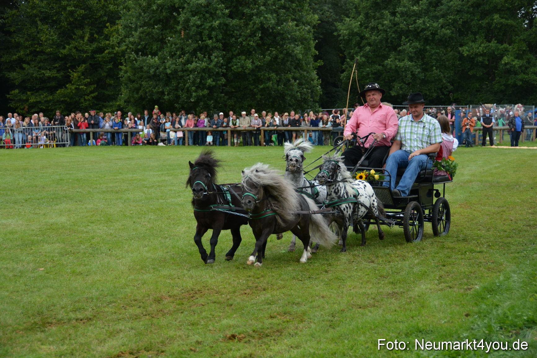 Pferdeschau JURA Volksfest 180814 0127