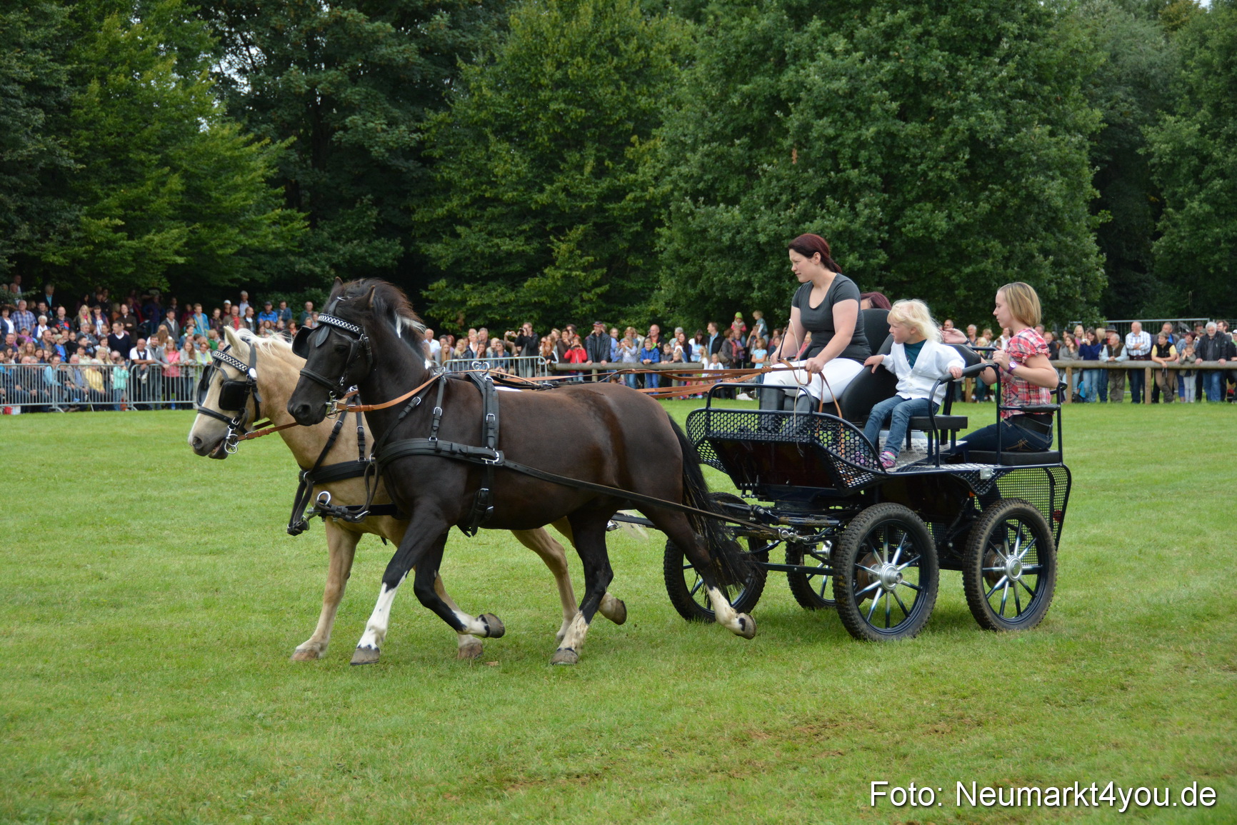 Pferdeschau JURA Volksfest 180814 0128