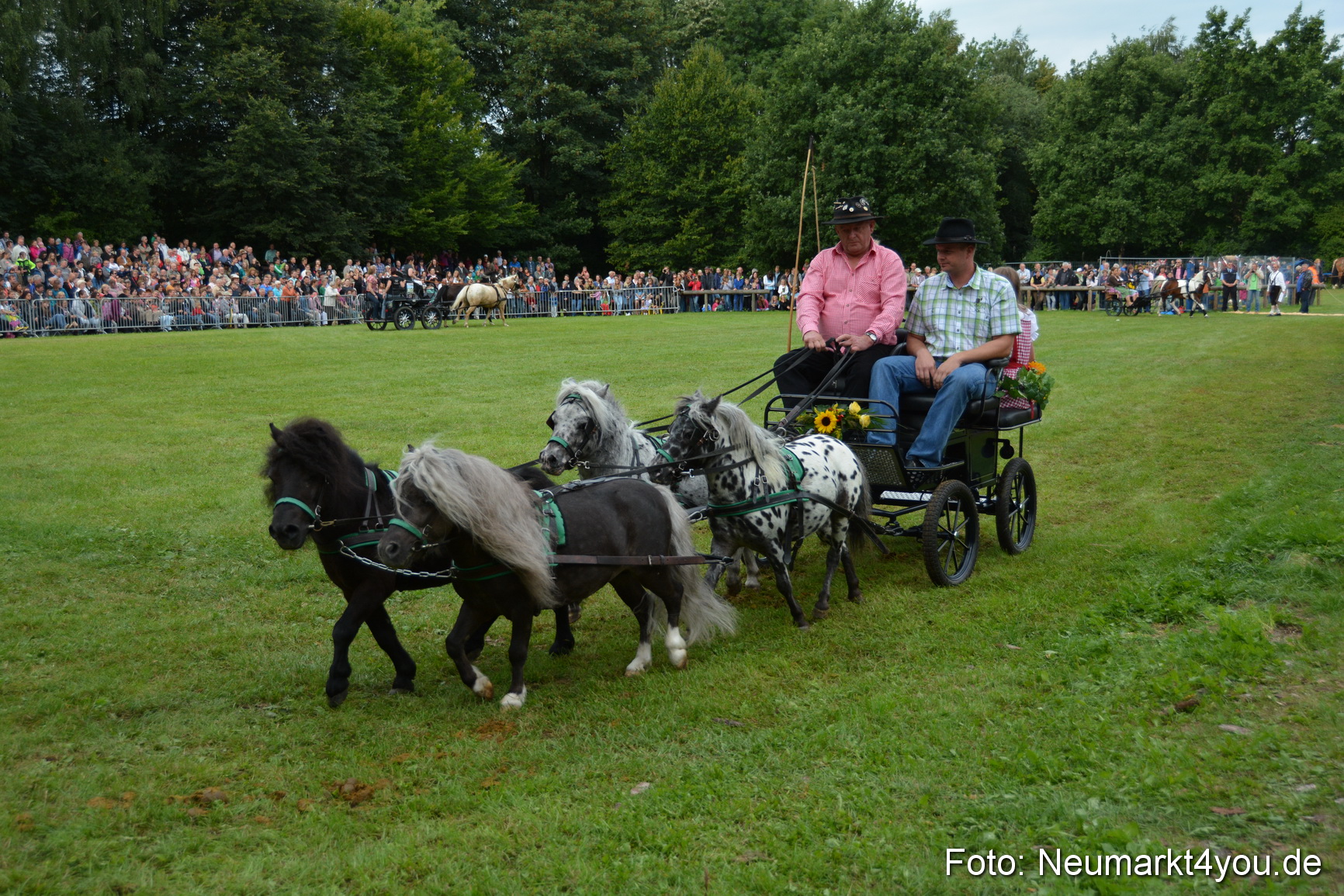 Pferdeschau JURA Volksfest 180814 0130