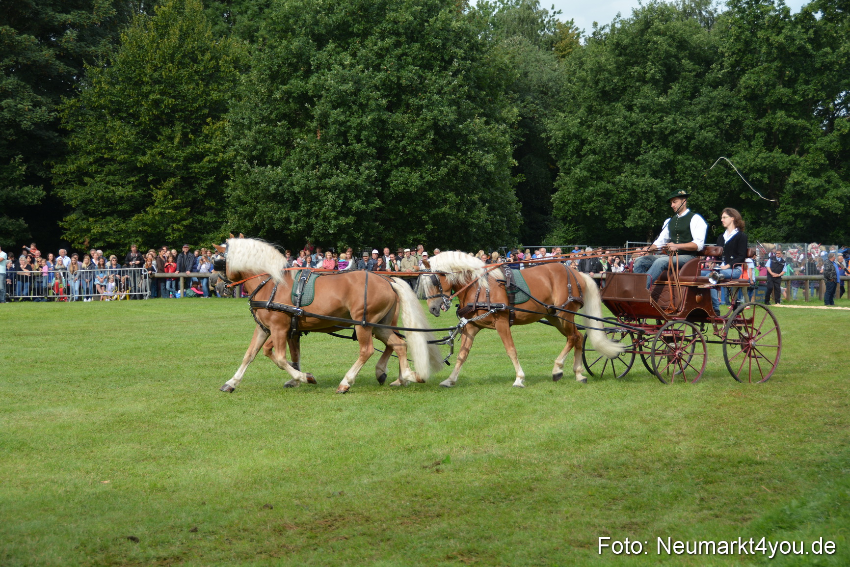 Pferdeschau JURA Volksfest 180814 0132
