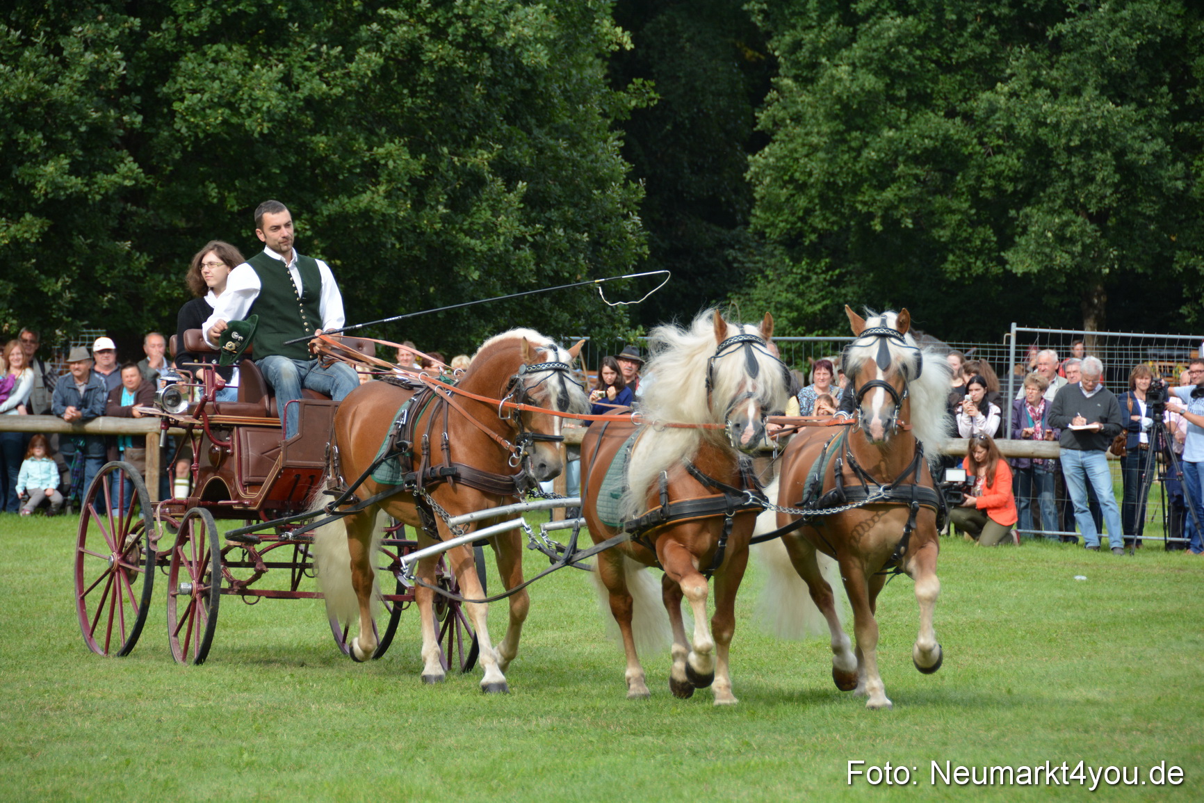 Pferdeschau JURA Volksfest 180814 0133