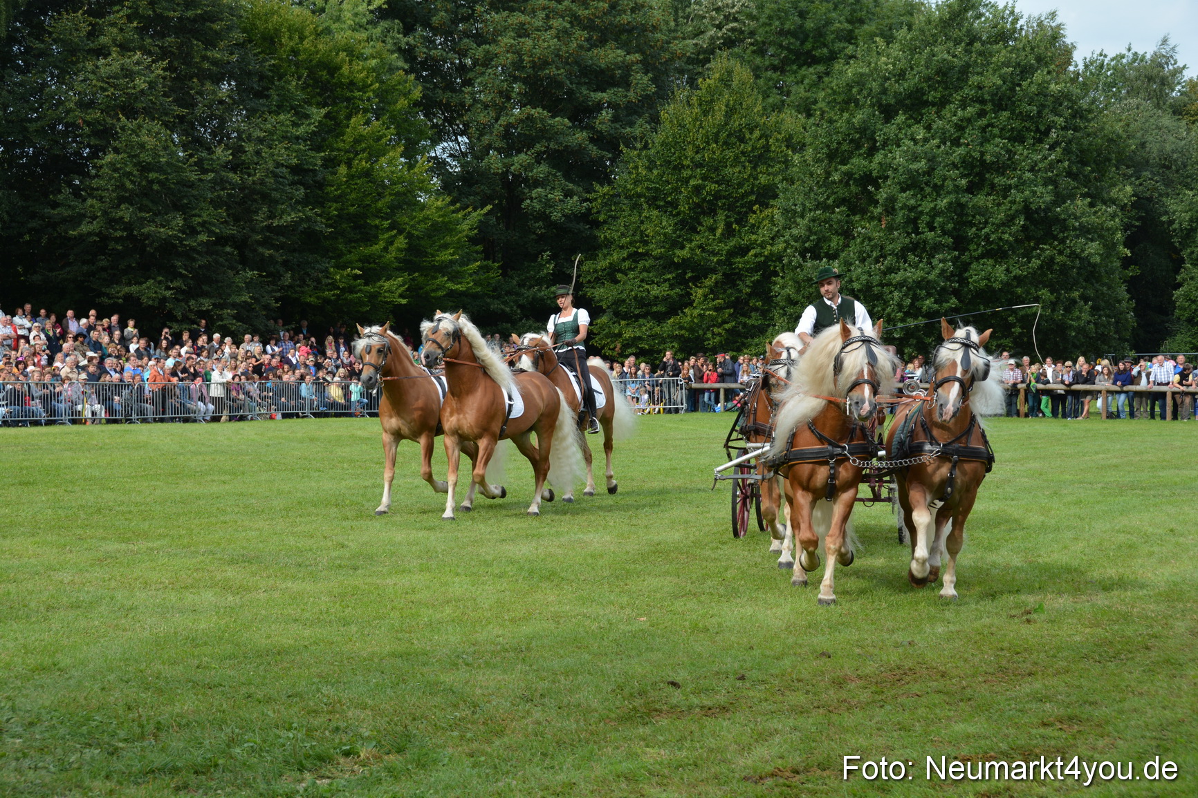Pferdeschau JURA Volksfest 180814 0134