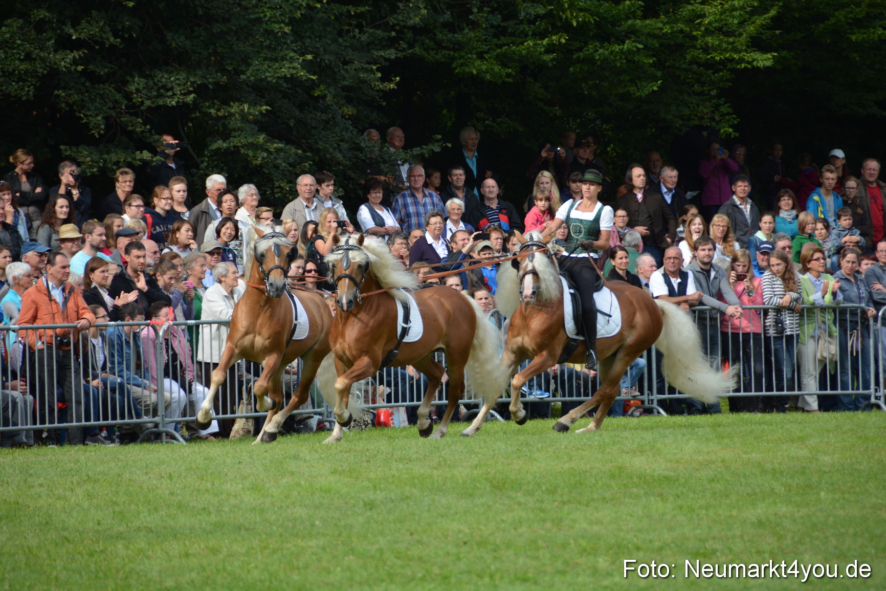 Pferdeschau JURA Volksfest 180814 0135
