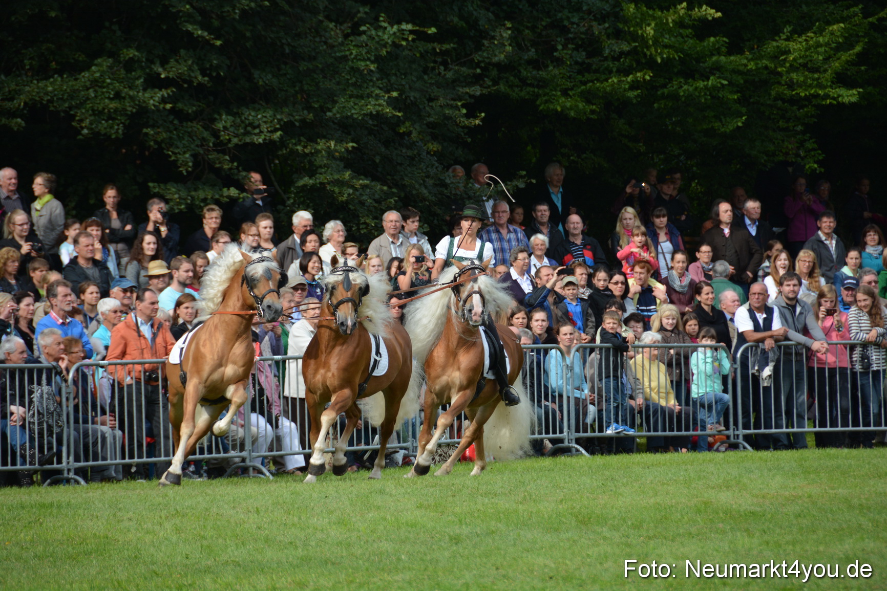 Pferdeschau JURA Volksfest 180814 0136