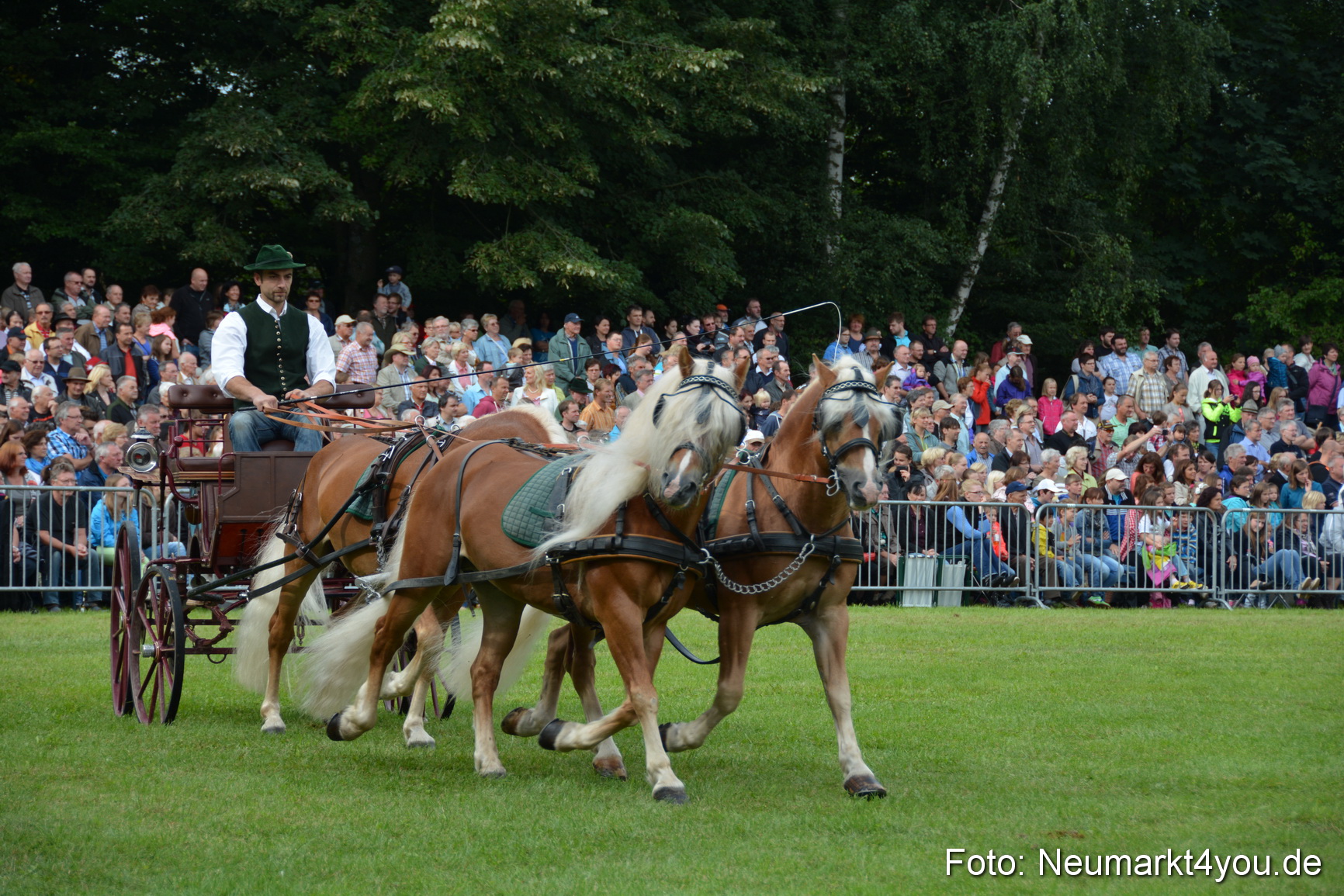 Pferdeschau JURA Volksfest 180814 0137