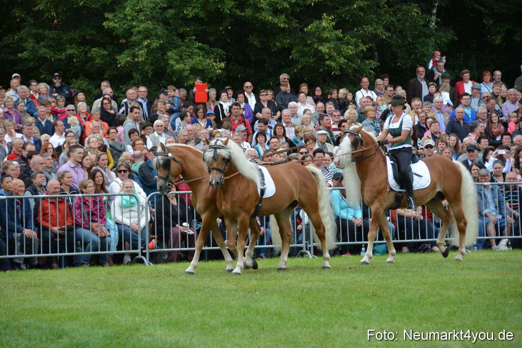 Pferdeschau JURA Volksfest 180814 0138
