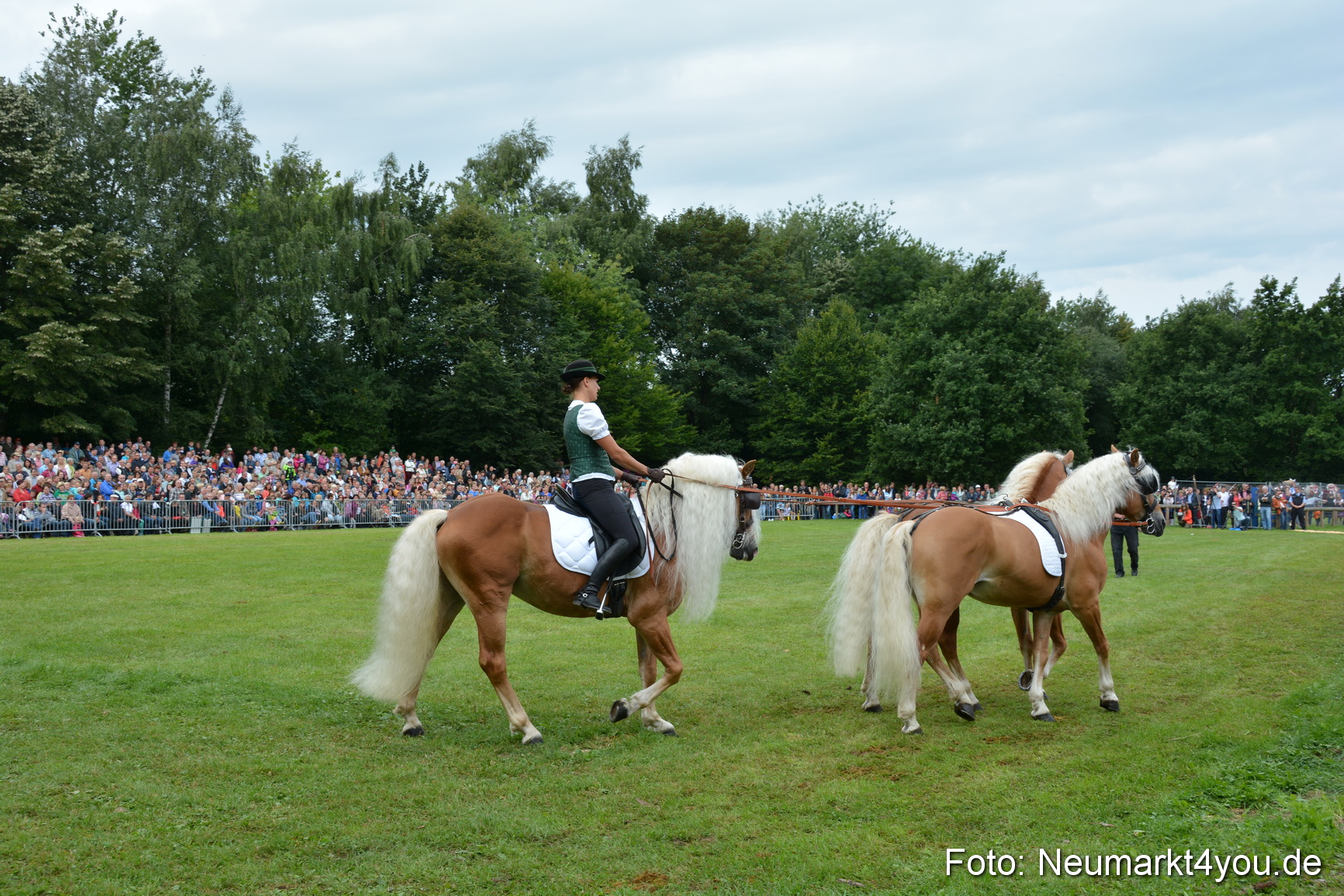 Pferdeschau JURA Volksfest 180814 0139