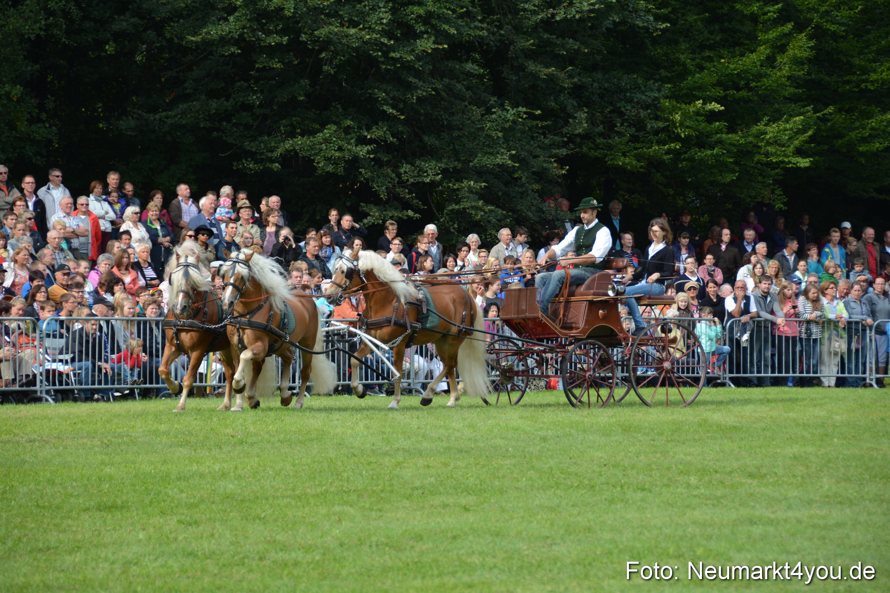 Pferdeschau JURA Volksfest 180814 0140