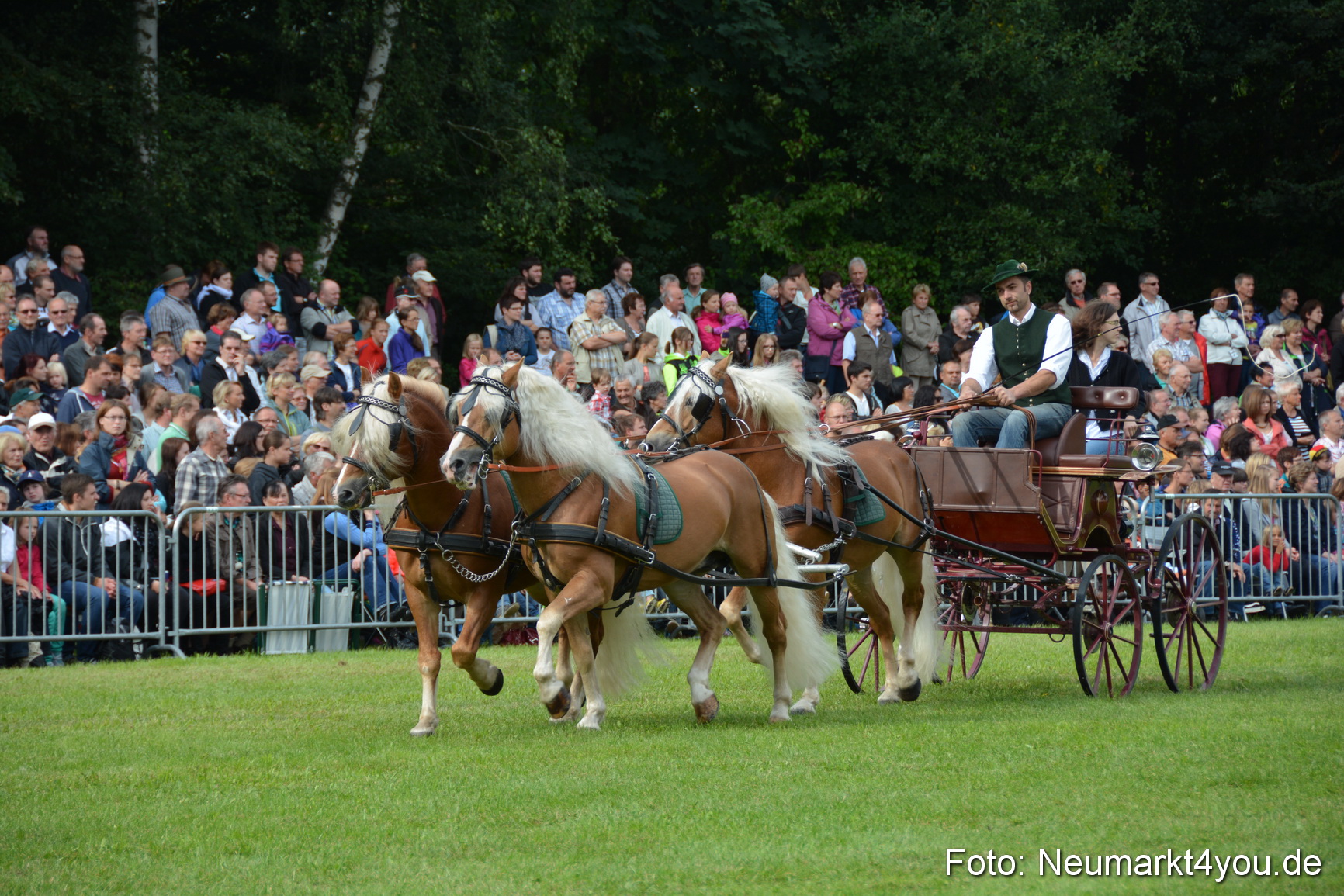 Pferdeschau JURA Volksfest 180814 0141